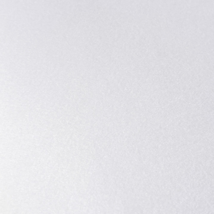 NON TISSE AIGUILLETE RAIDE 206G - 50CM - BLANC - TEXTICAP