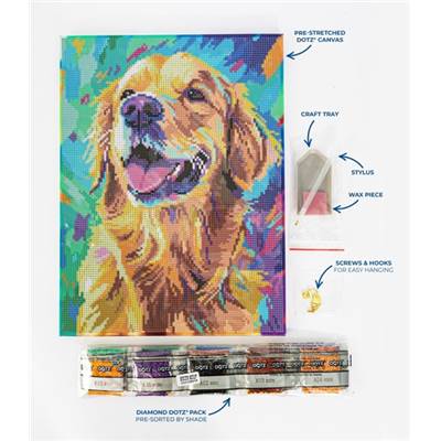 KIT BRODERIE DIAMANT DOTZ - GOOD BOY ! AVEC CADRE