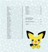 POKEMON EN FEUTRINE - 50 MODELES AVEC PATRONS A TAILLE REELLE