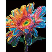 KIT BRODERIE DIAMANT NEON NOIR - GERBERA