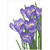 KIT BRODERIE DIAMANT - CROCUS PRINTANIER