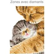 KIT BRODERIE DIAMANT - TENDRES CHATS