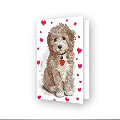 CARTE DE VOEUX DIAMOND DOTZ - LOVELY BOY