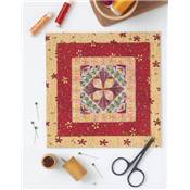 BRODERIE EN POINTS SPECIAUX - 77 POINTS ORIGINAUX