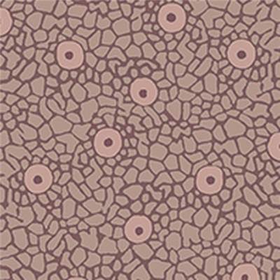 Tissu STOF 100% coton Quilters Basic Harmony 112cm 