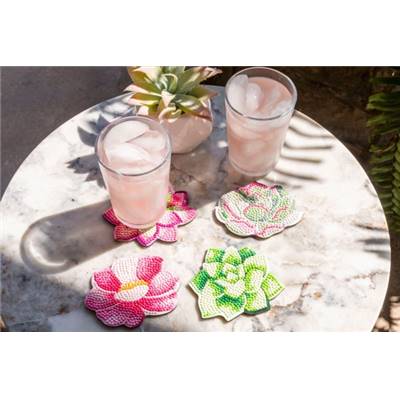 KIT BRODERIE DIAMANT 4 SOUS-VERRES - SUCCULENTS