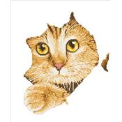 KIT BRODERIE DIAMANT - LE COUP D'OEIL DU CHAT