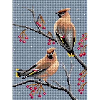 CANEVAS BLANC - OISEAUX WAXWINGS