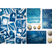 IMPRESSIONS VEGETALES - CYANOTYPE ECOPRINT TATAKI ZOME