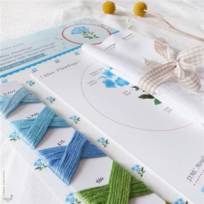 BLUE PLUMBAGO - KIT BRODERIE 21X21CM - TAMBOUR NON INCLUS