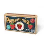 MINI KIT POINT DE CROIX - PENSE A TA FRAISE