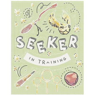KIT BRODERIE DIAMANT HARRY POTTER - SEEKER IN TRAINING