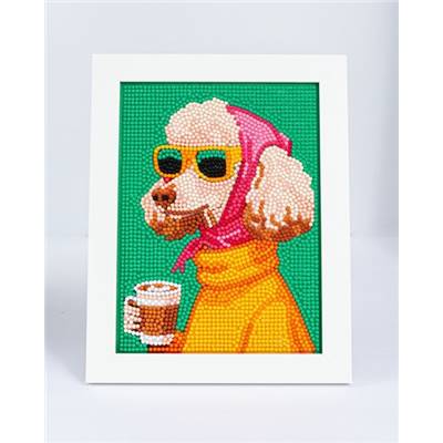 KIT BRODERIE DIAMANT DOTZ - RETRO POODLE AVEC CADRE