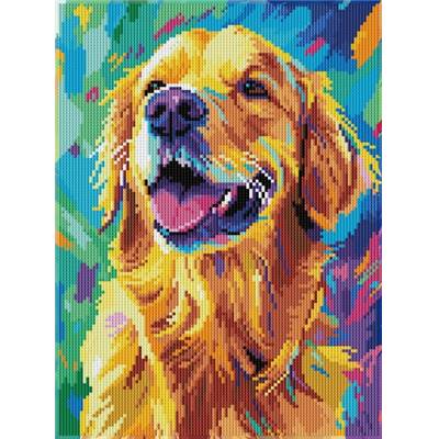 KIT BRODERIE DIAMANT DOTZ - GOOD BOY ! AVEC CADRE