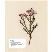 HERBIER BRODE - 33 PLANTES A BRODER