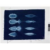 NUI SHIBORI