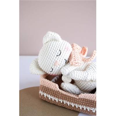 COFFRET CROCHETEZ ADOPTEZ EXPOSEZ ! POPPY LE BRITISH SHORTHAIR