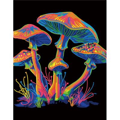 KIT BRODERIE DIAMANT NEON NOIR - MUSHROOMS 