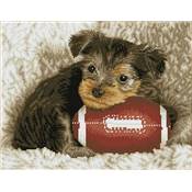 KIT BRODERIE DIAMANT SQUARES - FOOTY PUP
