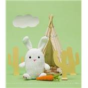 AMIGURUMIS AMUSANTS - 16 CREATURES ET LEURS ACCESSOIRES A CROCHETER