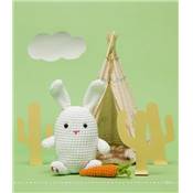 AMIGURUMIS AMUSANTS - 16 CREATURES ET LEURS ACCESSOIRES A CROCHETER