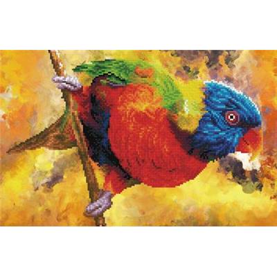 KIT BRODERIE DIAMANT - RAINBOW PERCH