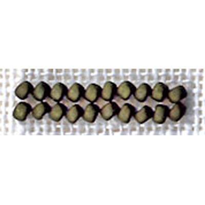 PERLES N° 5609 OLIVE 2.5 gr- minimum 3 sachets