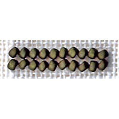 PERLES N° 5609 OLIVE 2.5 gr- minimum 3 sachets