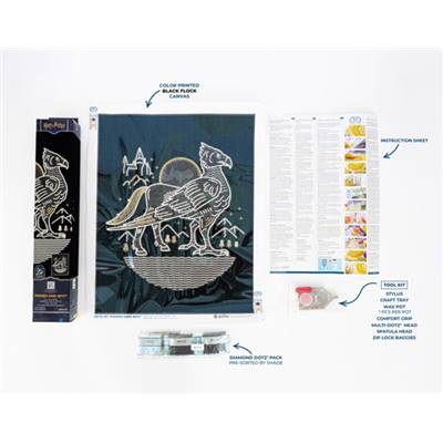 KIT BRODERIE DIAMANT HARRY POTTER - PHOENIX DARK ARTS
