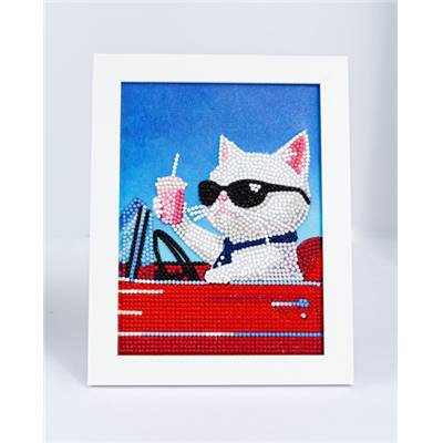 KIT BRODERIE DIAMANT DOTZ - CONVERTIBLE CAT AVEC CADRE