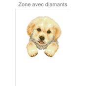 KIT BRODERIE DIAMANT - CHIOT DANS UN POT