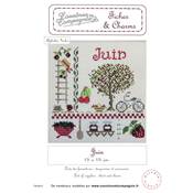 JUIN - SEMI-KIT FICHES & CHARMS