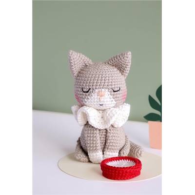 COFFRET CROCHETEZ ADOPTEZ EXPOSEZ ! ASPEN LE MAINE COON