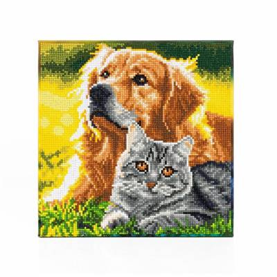 KIT BRODERIE DIAMANT DOTZ - PURRFECT DAY AVEC CADRE