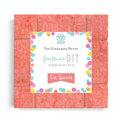 PACK C'EST LA FETE-LES GIVRES -9 COLORIS FEUTRINE 30x30cm EN CAMAIEUX