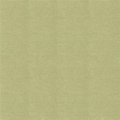 TISSU DASHWOOD STUDIO - POP - PISTACHIO - COTON UNI - 110 CM