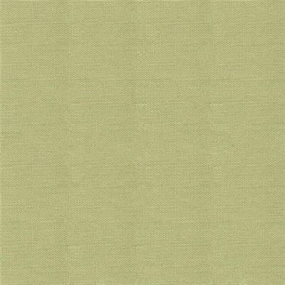 TISSU DASHWOOD STUDIO - POP - PISTACHIO - COTON UNI - 110 CM