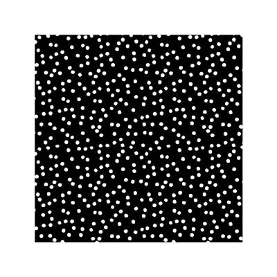 TISSU DASHWOOD STUDIO - SPOTTI BLACK - COTON - 110CM