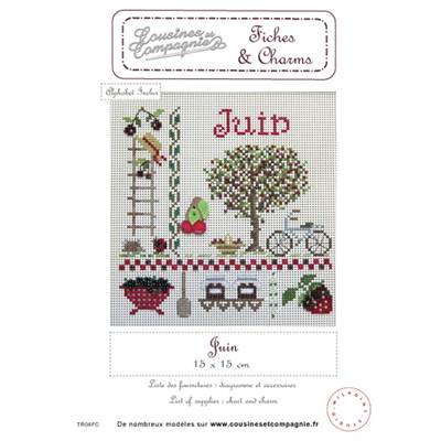 JUIN - SEMI-KIT FICHES & CHARMS