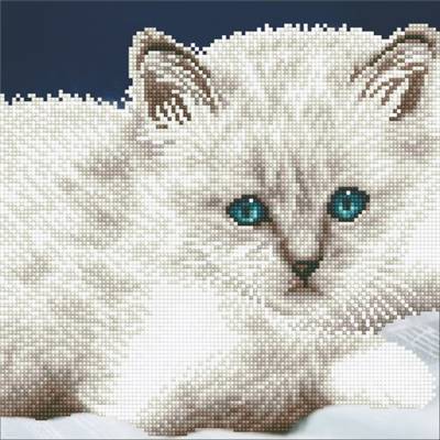 KIT DIAMOND ART INTERMEDIAIRE - CHAT BLANC