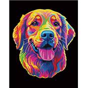 KIT BRODERIE DIAMANT NEON NOIR - GOLDEN RETRIEVER