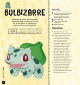POKEMON EN FEUTRINE - 50 MODELES AVEC PATRONS A TAILLE REELLE