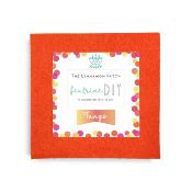 PACK TANGO 9 COLORIS DE FEUTRINE 15x15cm EN CAMAIEUX