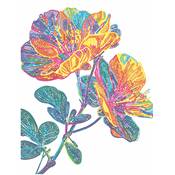 KIT BRODERIE DIAMANT NEON NOIR - FLORAL