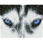 KIT BRODERIE DIAMANT SQUARES - MYSTIC HUSKY