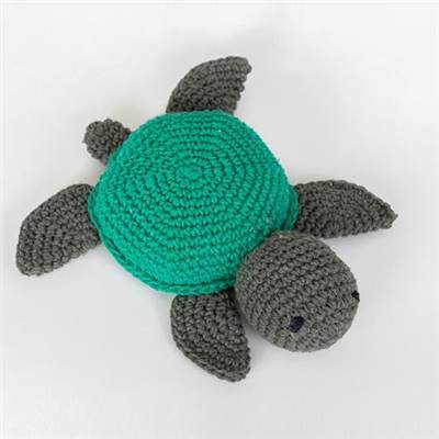 KIT AMIGURUMI HOOOKED - JAKE LA TORTUE - ASPEN