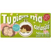 MINI KIT POINT DE CROIX - TU PIQUES MA CURIOSITE
