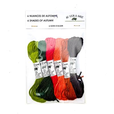 PACK 6 NUANCES SOIE ALGER - AUTOMNE