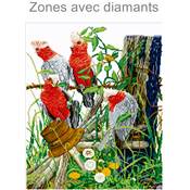 KIT BRODERIE DIAMANT - LES QUATRE CACATOES