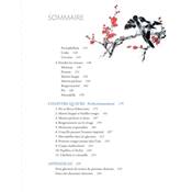 LA PEINTURE CHINOISE - DEBUTER EN PAS A PAS